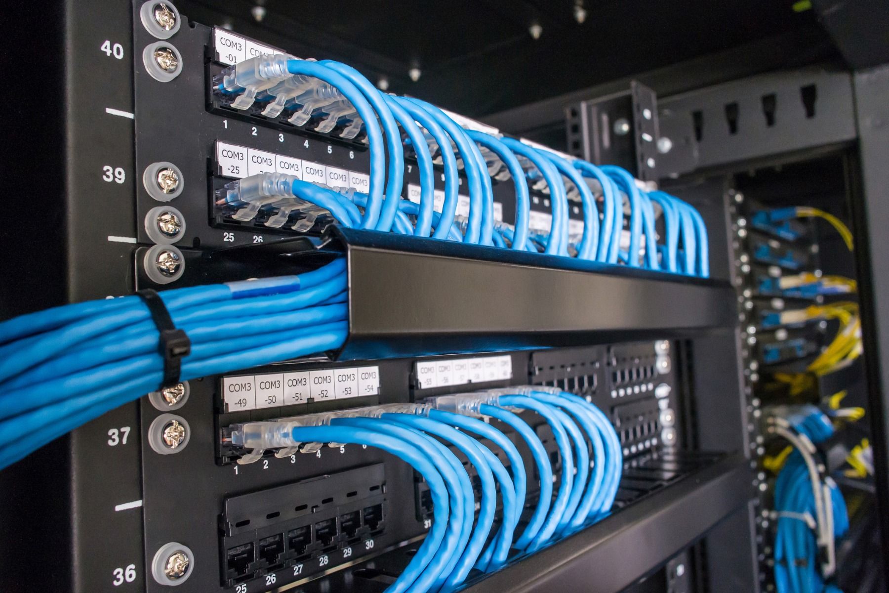 Patch panel y accesorios